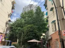 业主换房诚售!朝南采光好,精装低总价,价可谈,方便看!