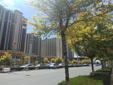 富力城G区 5室2厅 南