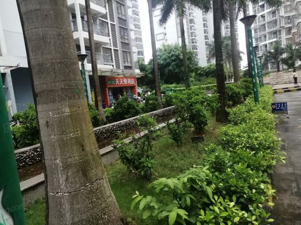 岳麓海岸实景图