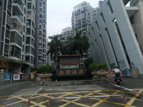 岳麓海岸实景图