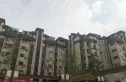融科花满庭实景图