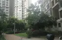 金色港湾五期实景图