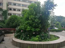 云台小区 2室1厅 东 北