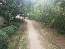 宝地绿洲城 2室1厅 南