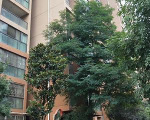 凤凰山1号3室2厅东南