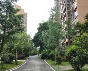 凤凰山1号3室1厅南