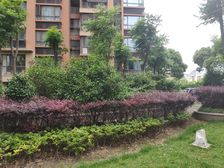 2010年商品房,新上大三房!!少有三房户型,南北直通