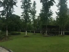 低总价,房间多,可塑性强,花园接近400来平