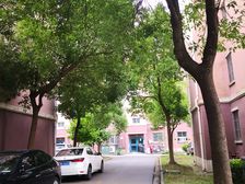 锦园坊1室1厅南