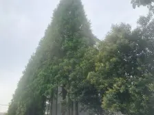 菊园新区 · 嘉富小区-环城路160弄 · 2室 · 1厅