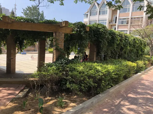绿色新苑实景图