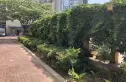 绿色新苑实景图