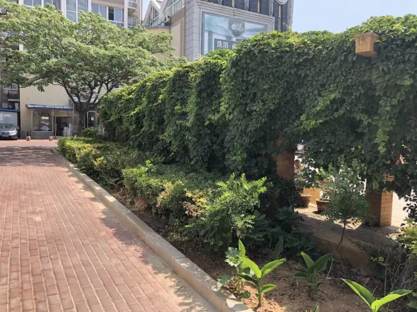 绿色新苑实景图