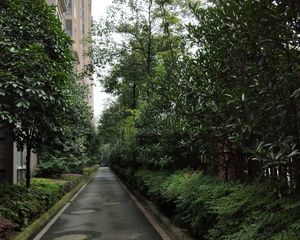 博雅新城E区3室2厅东