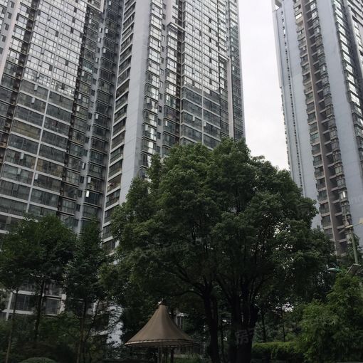  ��������1��1���ϳ���5000.00Ԫ/�³��� 