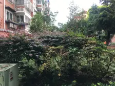 双院子 南北户型 采光无遮挡