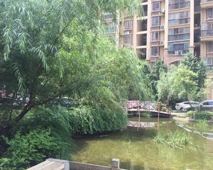 世嘉国际华城二期2室1厅南