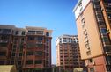八一花园实景图