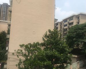 市政府六号线白鸽咀地铁口电梯洋房产证在手