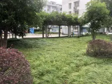 大开间,环境优美,居家装修,诚意出售