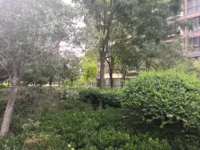 稳定47双气电梯大三房两梯三户送一个车位业主诚心急售