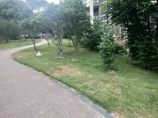 宝地绿洲城 1室1厅 南