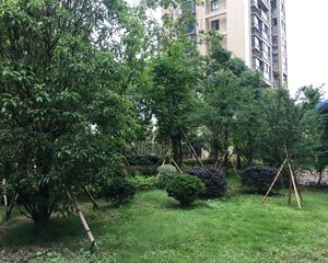 御锦水岸花苑 3室2厅 南