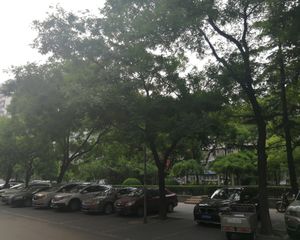 惠新南里5号院1室1厅南
