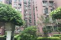 大鹏花园实景图