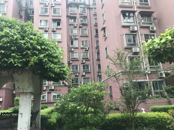 大鹏花园实景图