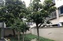 陈行一村实景图