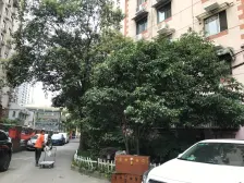 烫金地段 3/4/7/13号线四轨交 TZ划算自住方便好置换