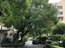 金杨·金樟花苑·4室·1厅