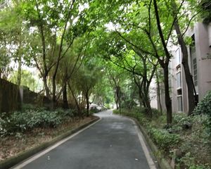 博雅新城E区4室2厅东南