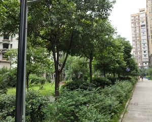 龙腾嘉园3室2厅南