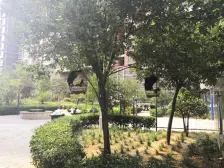 金水北区 地铁口 大平层 四房 价优