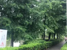 魏玛原墅(别墅) 5室2厅 南