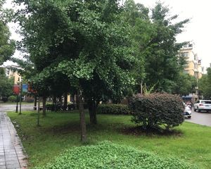 户型方正。2个房间和客厅都朝南向。双阳台设计