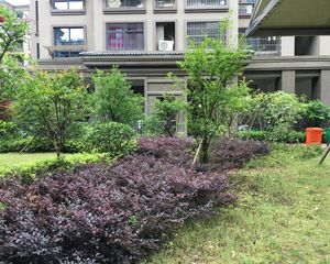 水岸阳光,电梯洋房,婚装自住保养好