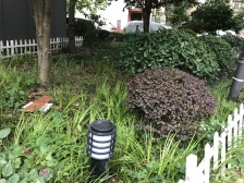 长寿新村(普陀) 2室0厅 南