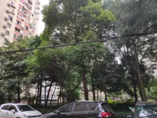 苏河湾板块,满五,带院子,精装修