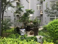 纯毛坯 次新房 大平层 好户型 好楼层 好位置