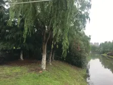 魏玛原墅 全栋别墅 回字型大院子两层五房四卫全明户型