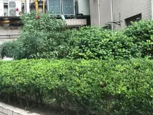 内环内长寿路板块,7/13号线双轨交通,鸿寿坊步行街!