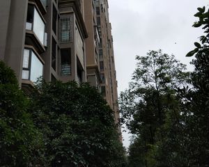 博雅新城E区3室1厅东南