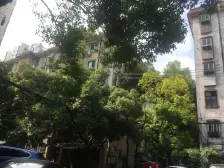 朝阳小区 南北通透,采光好 视野好,诚心出售