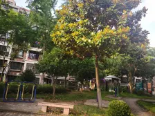 房东诚心出售,税费少,价格可谈