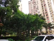 户型方正,花园式小区,烫金地段,苏州河畔