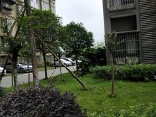 凤凰傲城3室2厅西东