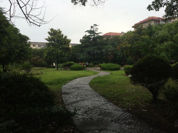 东陆新村九街坊实景图